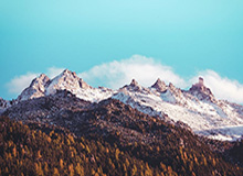 kaiyun体育网：让热爱在指尖点燃的全新体育体验